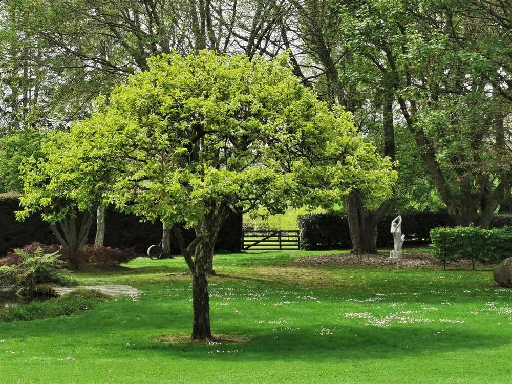 The-TreeChurch-Gardens-40.jpg