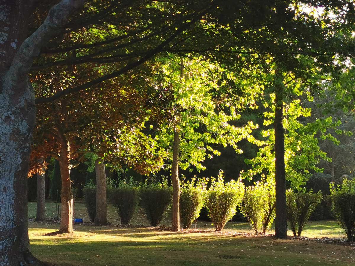 The-TreeChurch-Gardens-97.jpg