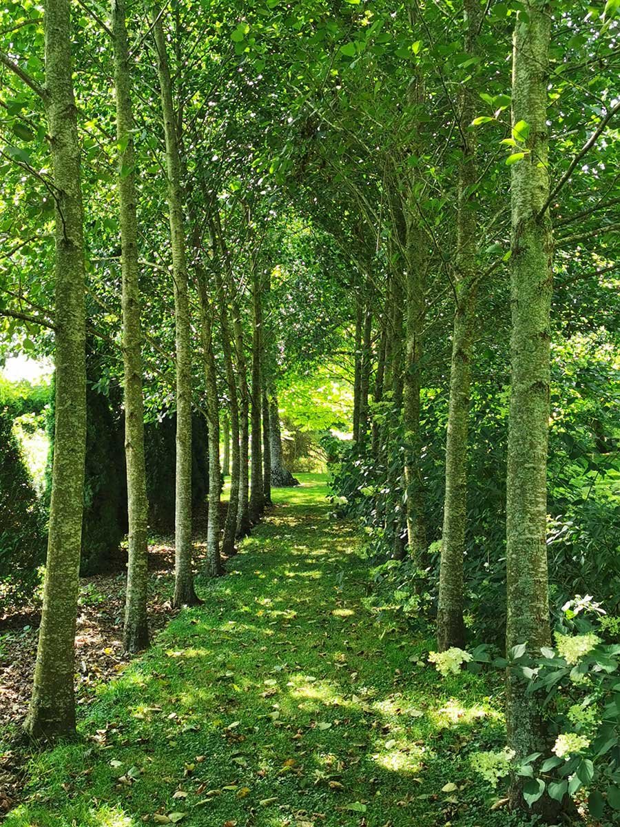 The-TreeChurch-Gardens-93.jpg