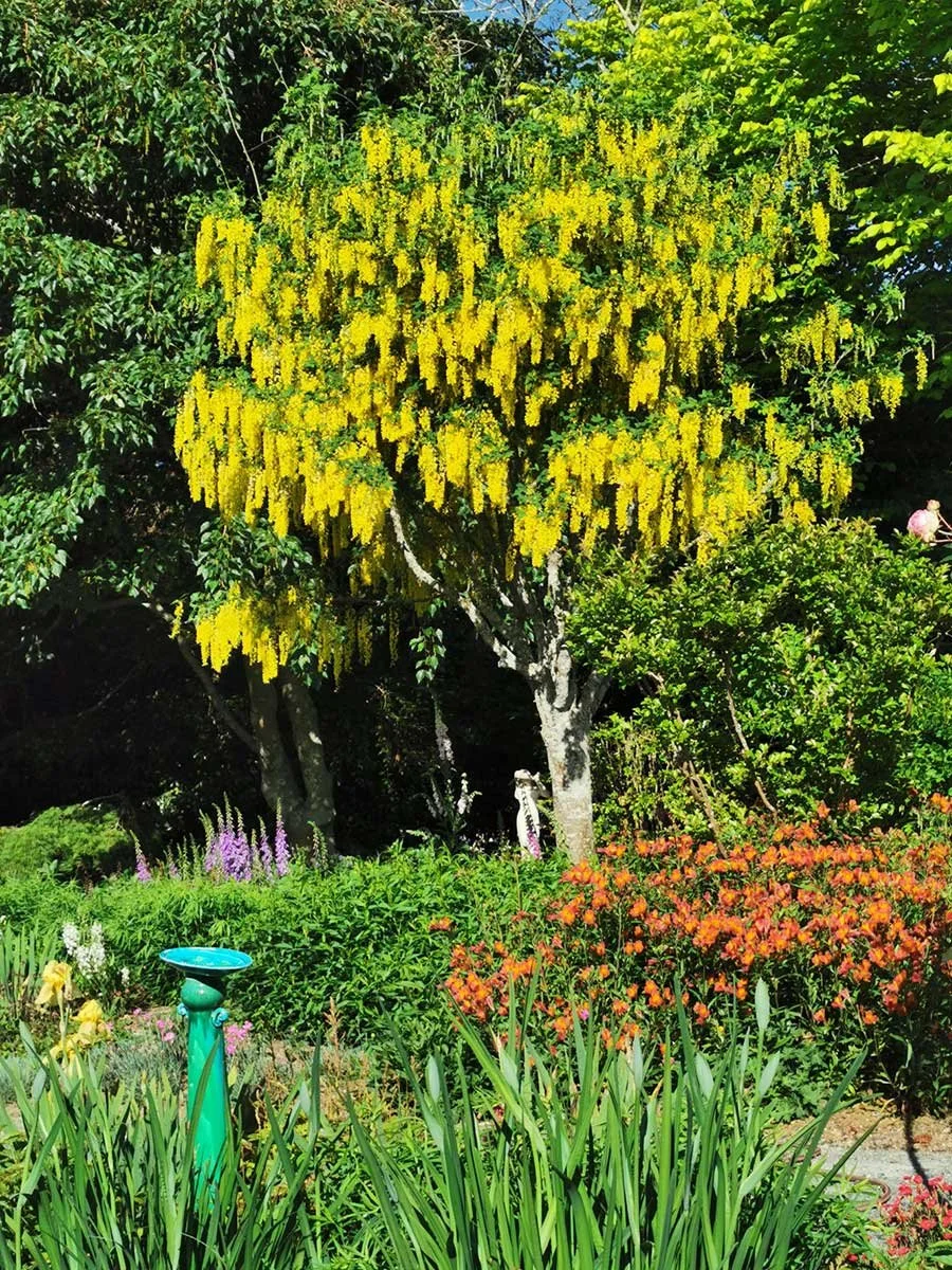 The-TreeChurch-Gardens-80.jpg