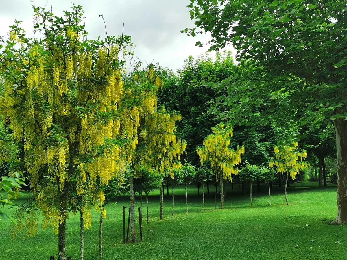 The-TreeChurch-Gardens-90.jpg