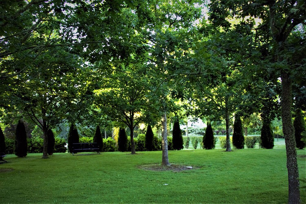 The-TreeChurch-Gardens-30.jpg