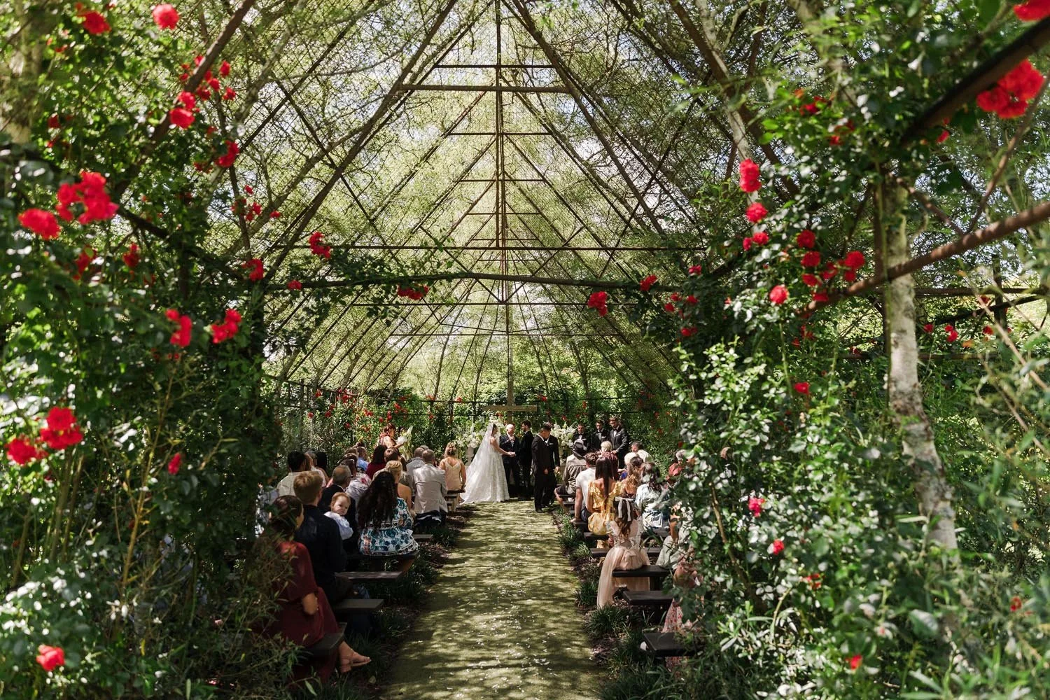 The wedding of Chelsey and Eugene at TreeChurch 4.jpg