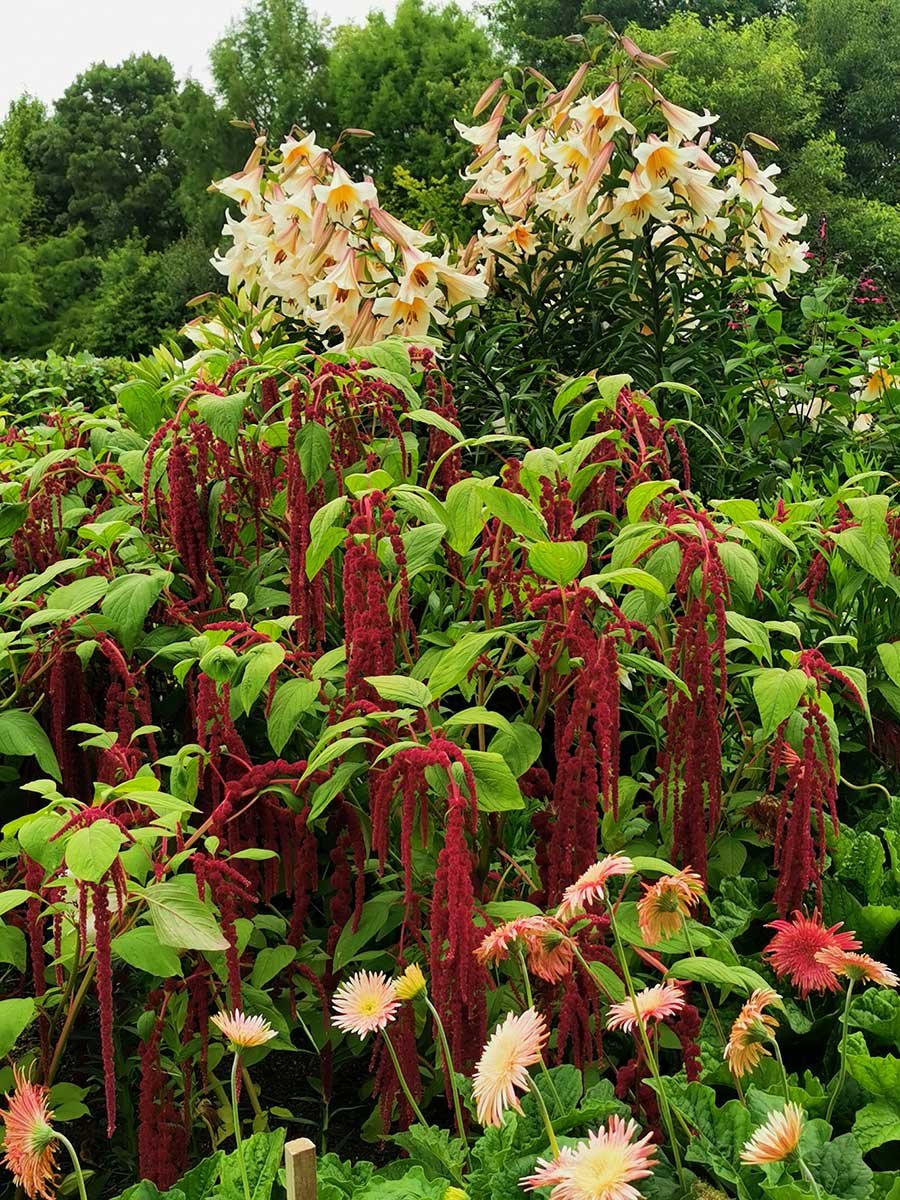The-TreeChurch-Gardens-88.jpg