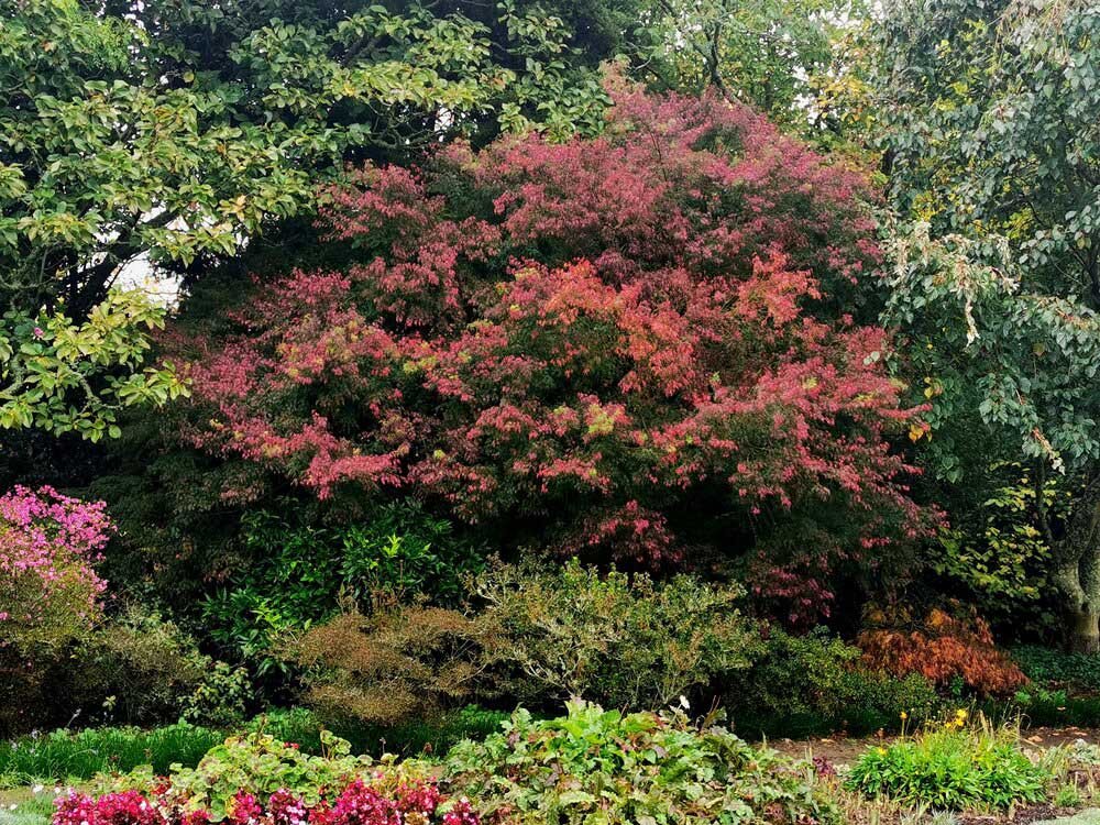 The-TreeChurch-Gardens-48.jpg