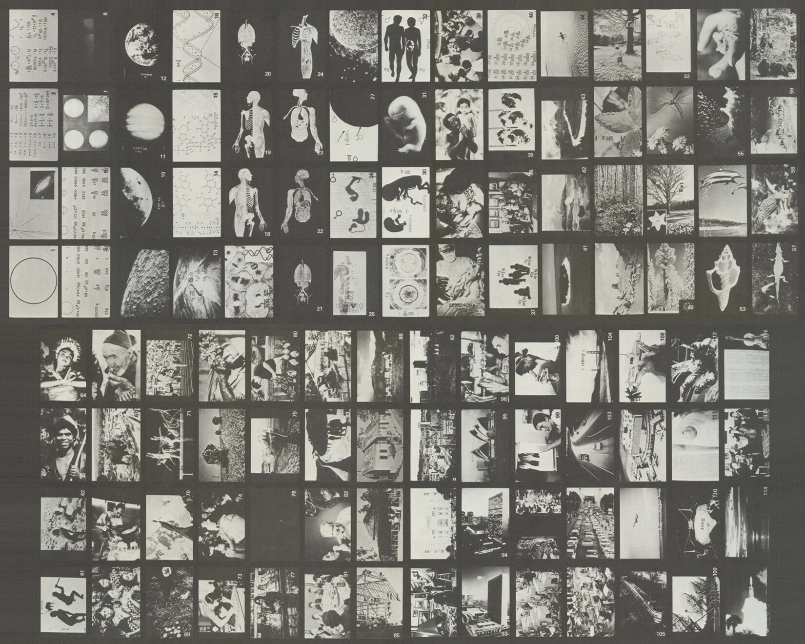 116images_HALFletter_EXPORT.jpg
