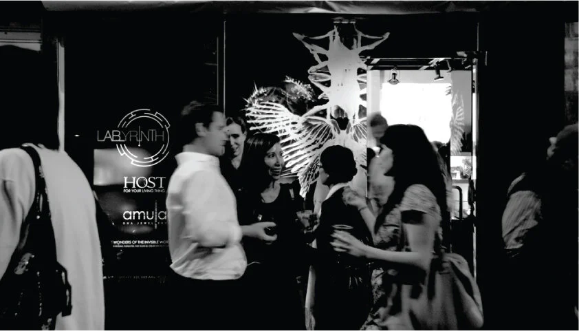 LAByrinth_GCS_bw.jpg