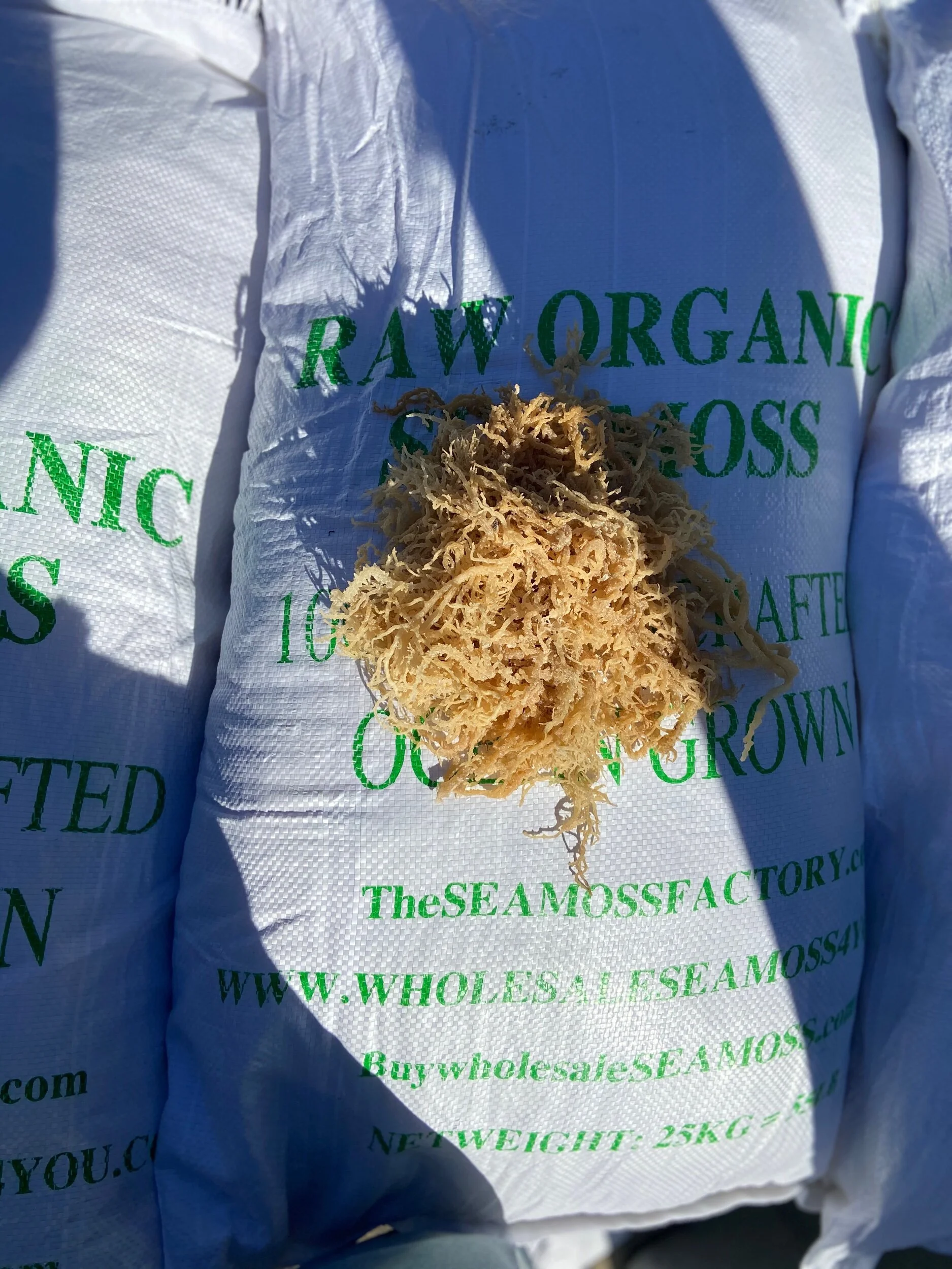 Buy wholesale sea moss — ORGANIC NATURALS SEA MOSS