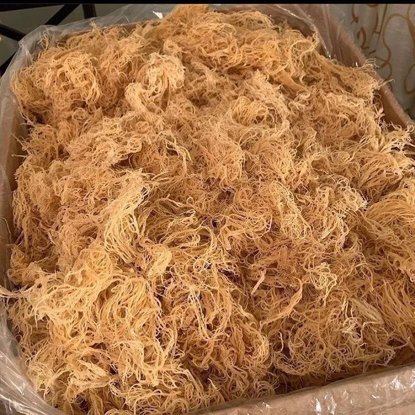 ORGANIC NATURALS SEA MOSS