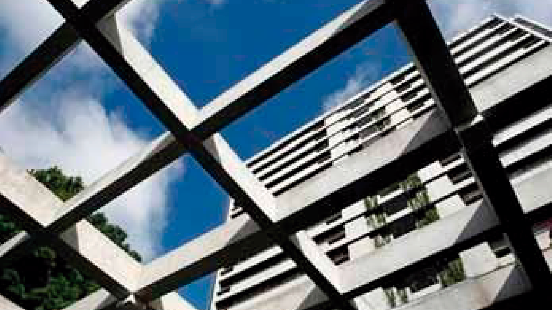 Actuales oficinas ubicadas en Centro Gerencial Las Margaritas.