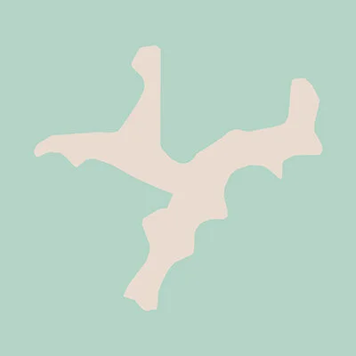 The Dunnottar Bungalow logo