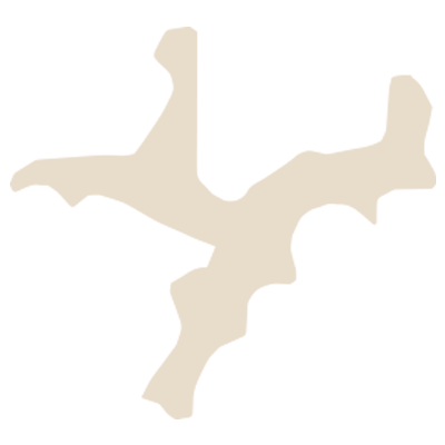 The Dunnottar Bungalow logo
