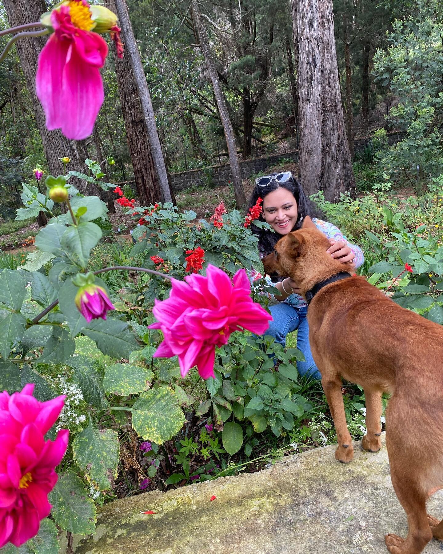 &ldquo;No one appreciates the very special genius of your conversation as the dog does.&rdquo; &ndash; Christopher Morley &mdash;
Tiger of Dunnottar striking a rapport with our guest ! &mdash;-
&mdash;&mdash;
#thedunnottar #thedunnottarbungalow #home