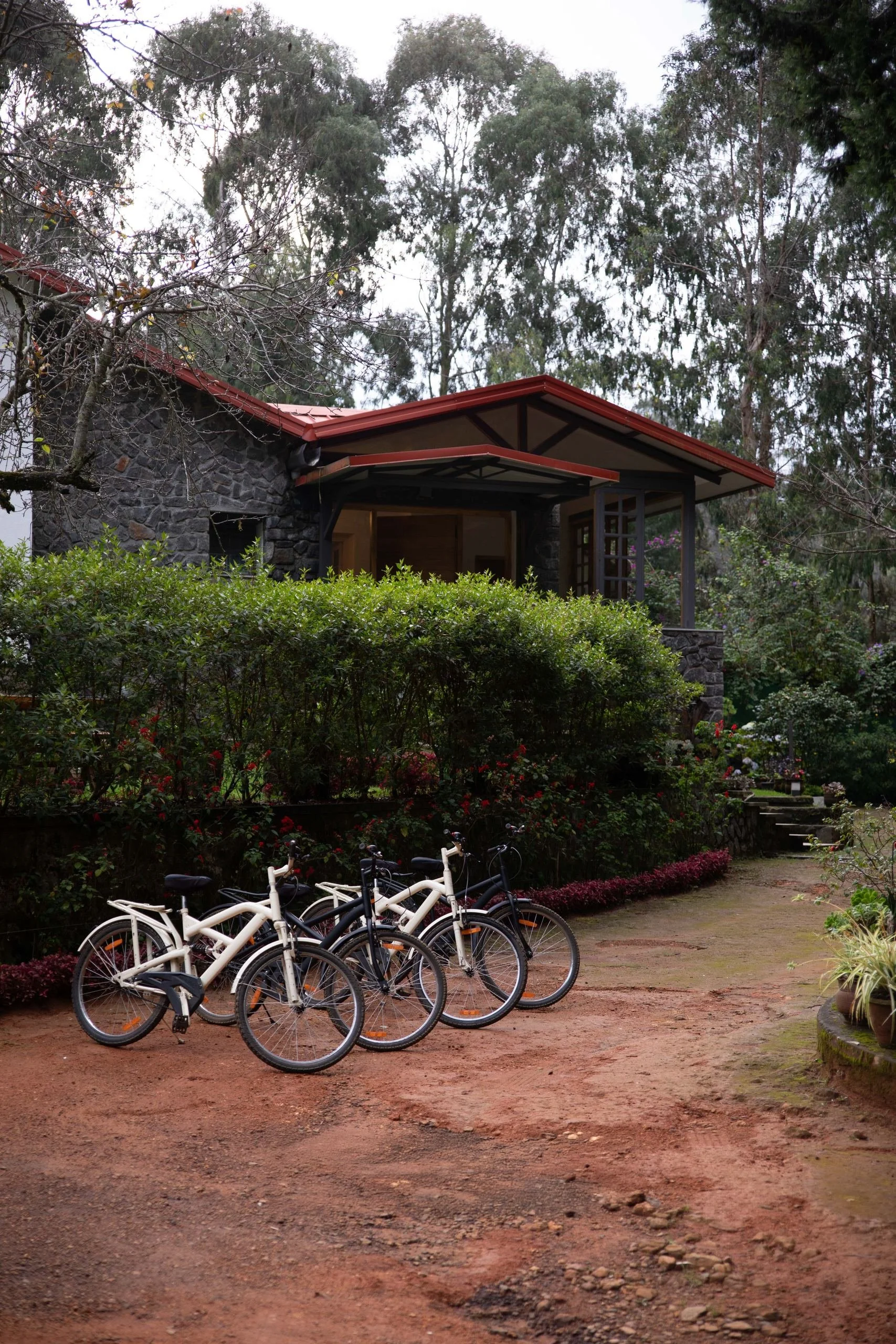 grounds-bicycles-03.jpg