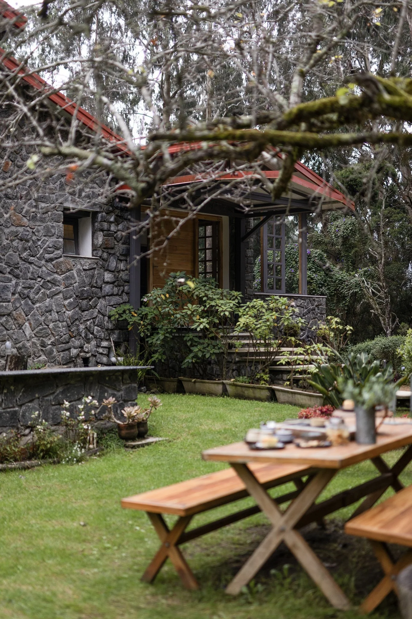 A backyard garden with a stone house wall, leafless branches, and outdoor furniture on a grassy lawn.
