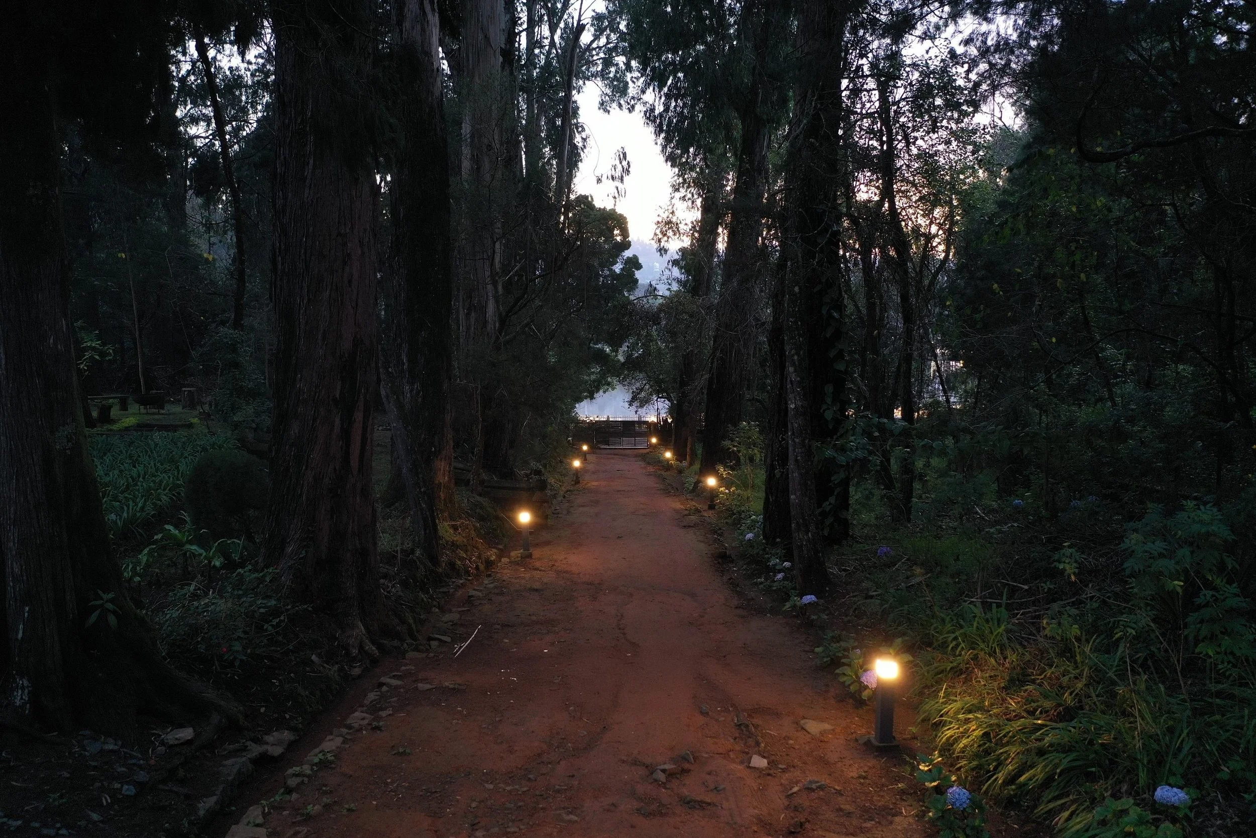 exterior-driveway-dusk-01.jpg