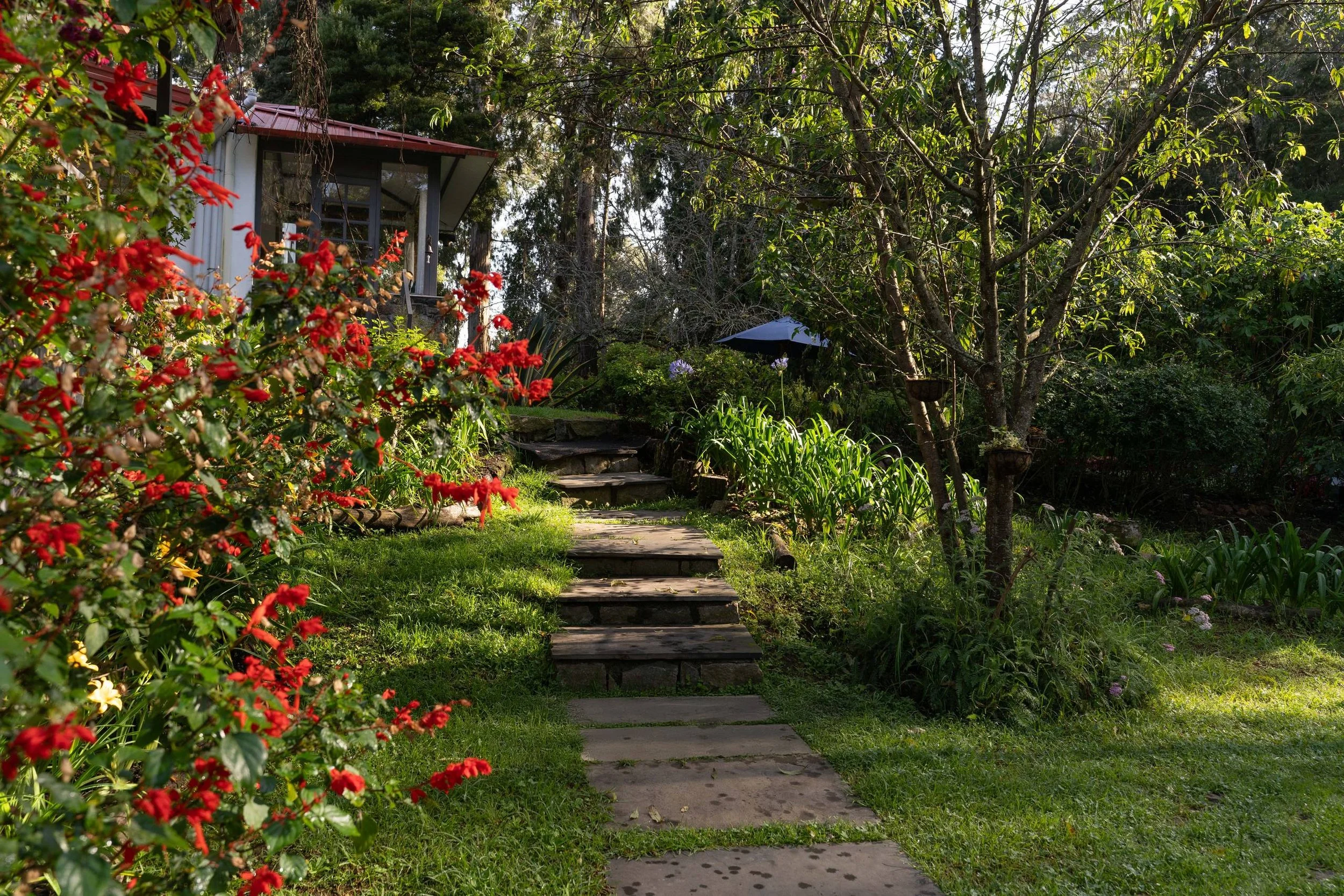 grounds-south-garden-flowers-02.jpg