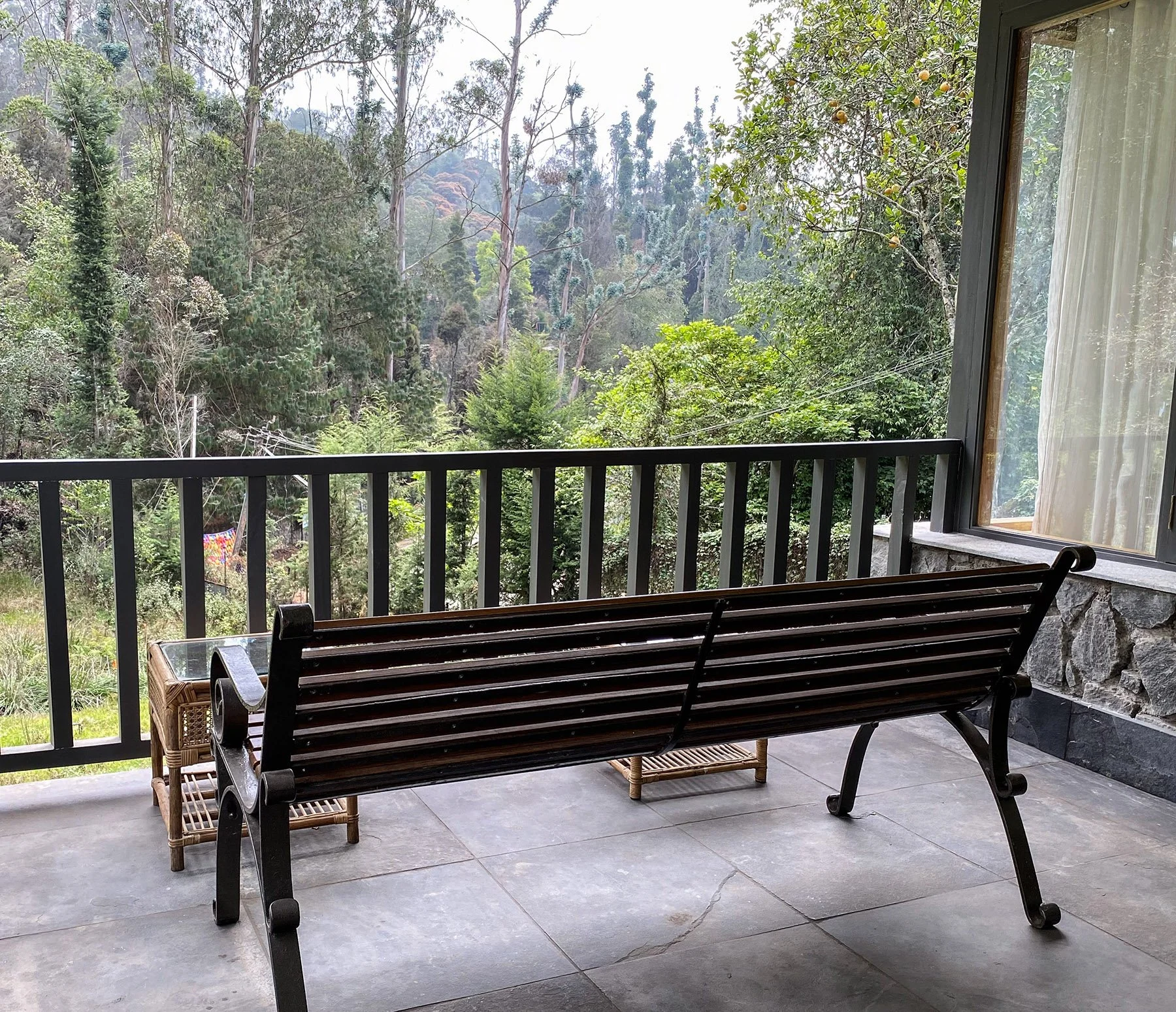 A view from a porch with a wooden bench overlooking a dense, green forest with tall trees and a mountain in the distance.