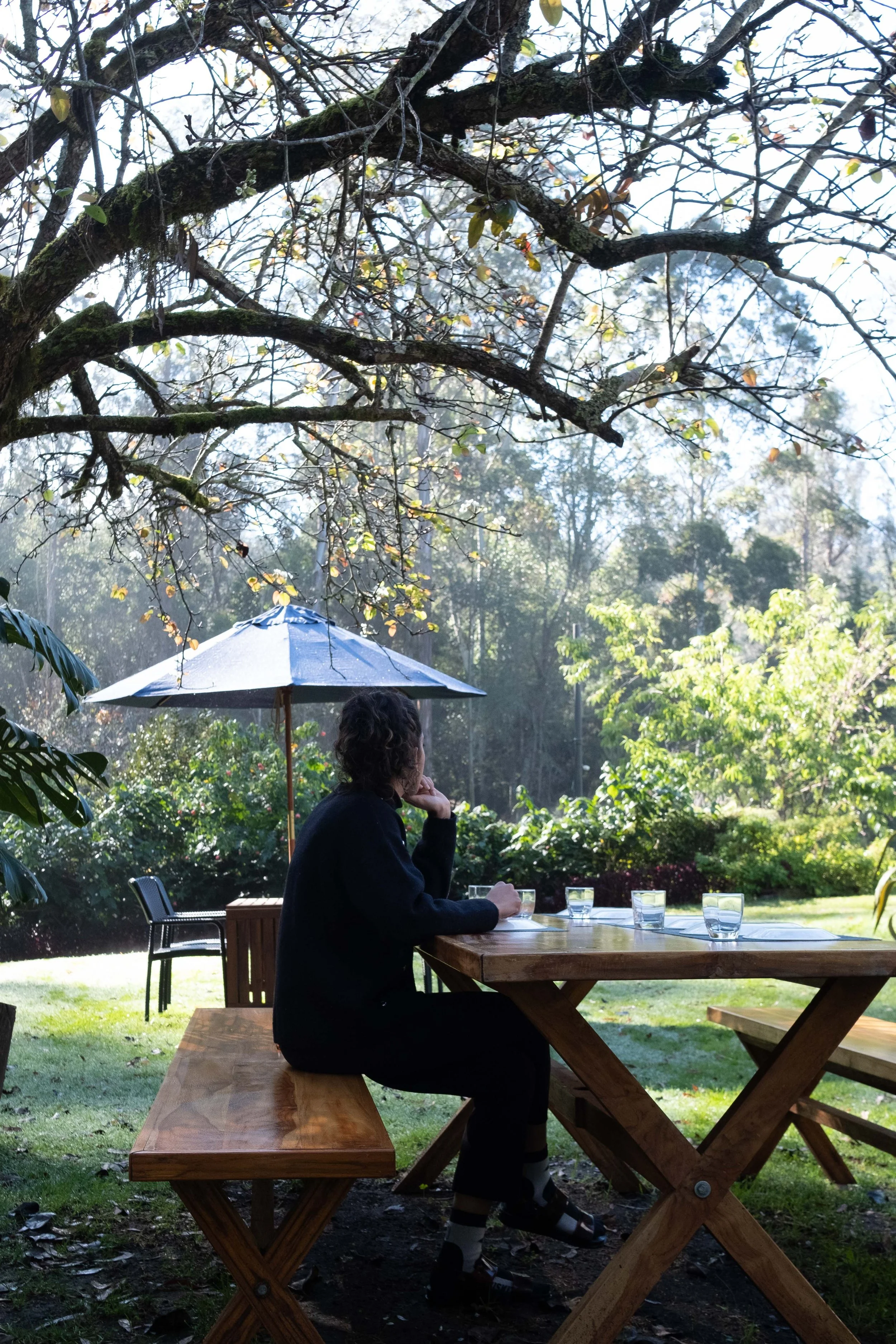 A woman sitting at an outdoor wooden table under a large umbrella in a lush garden. She is facing away, resting her chin on her hand, with multiple glasses on the table. There are trees and greenery in the background, and a large tree branch above he