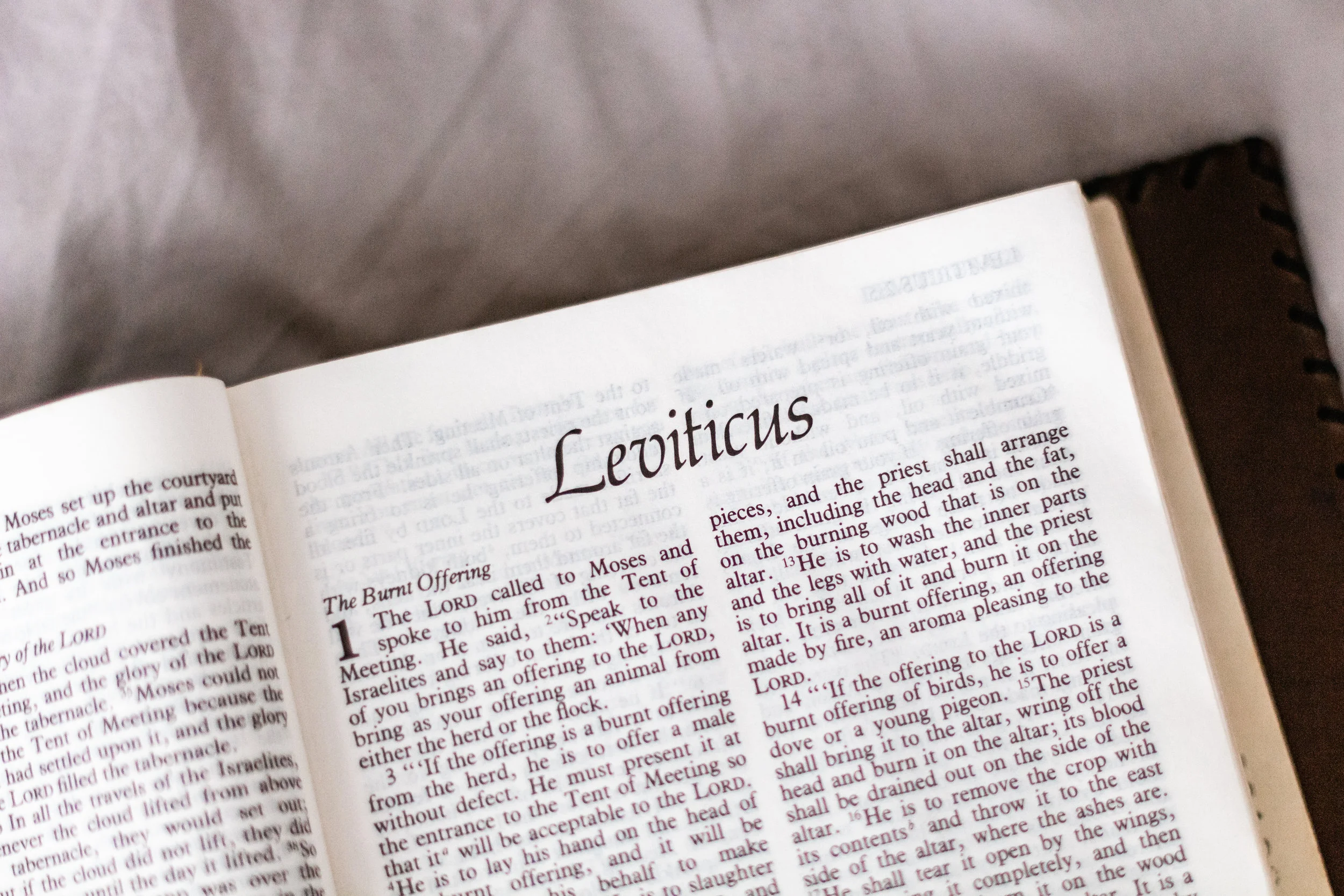 THE BOOK OF LEVITICUS
