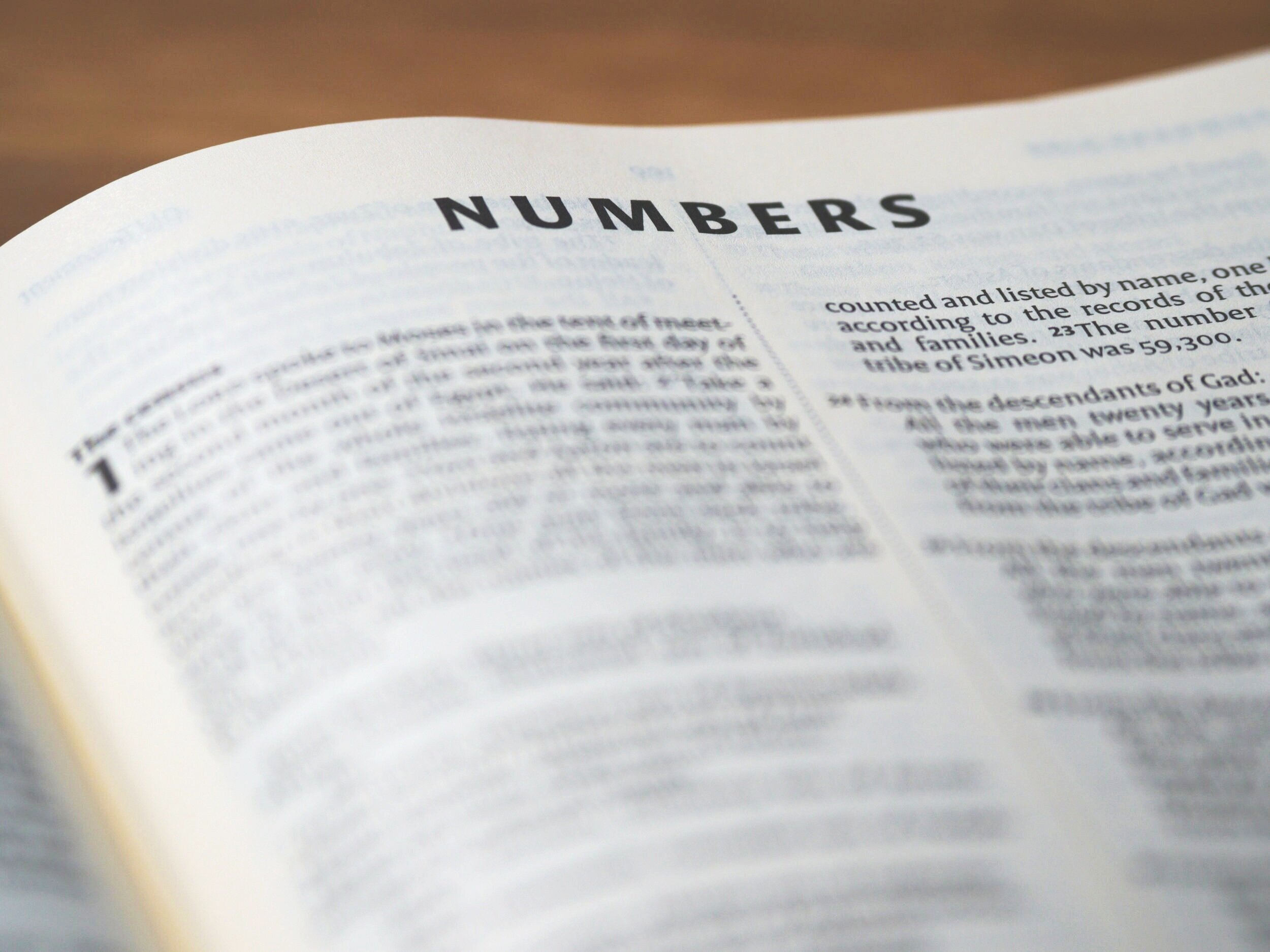 WINNERS AND LOSERS</strong>  (Book of Numbers)</strong>