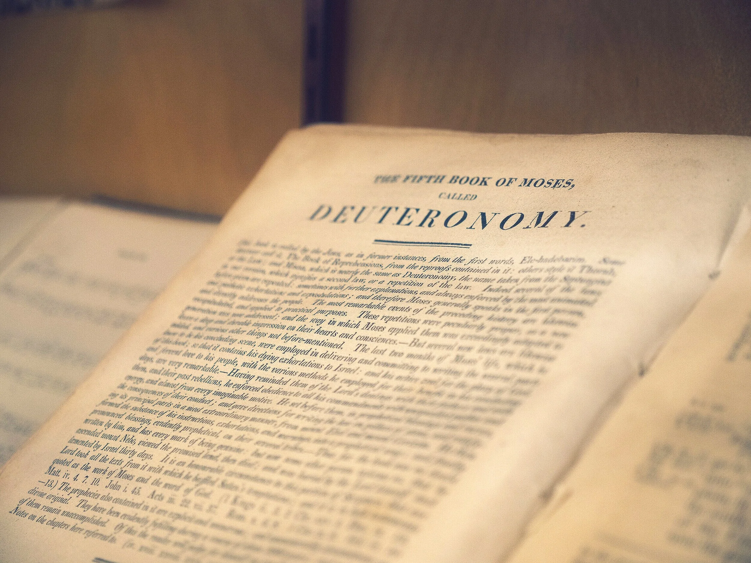 WINNERS AND LOSERS  (Book of Deuteronomy)</strong>