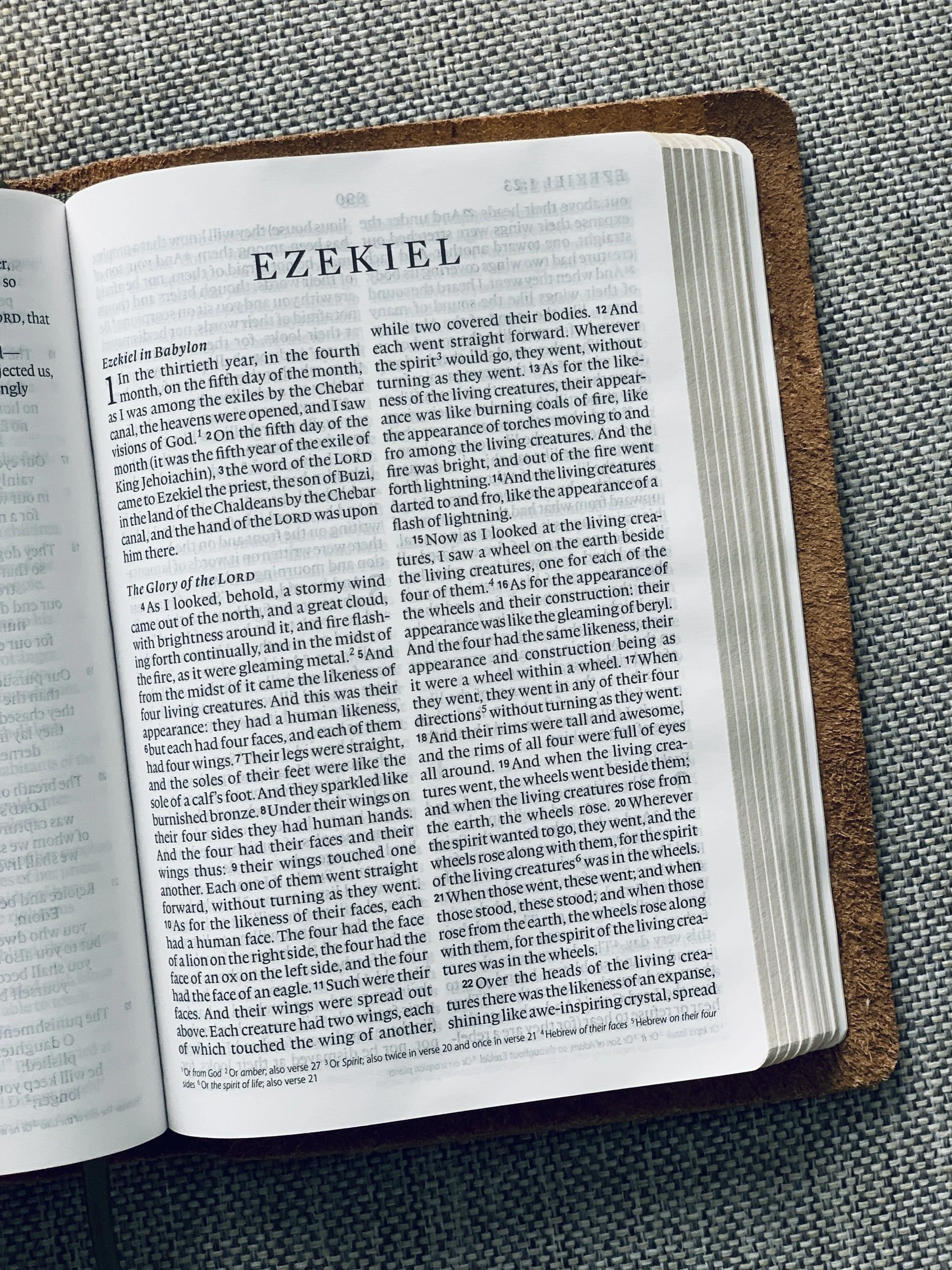 THE BOOK OF EZEKIEL