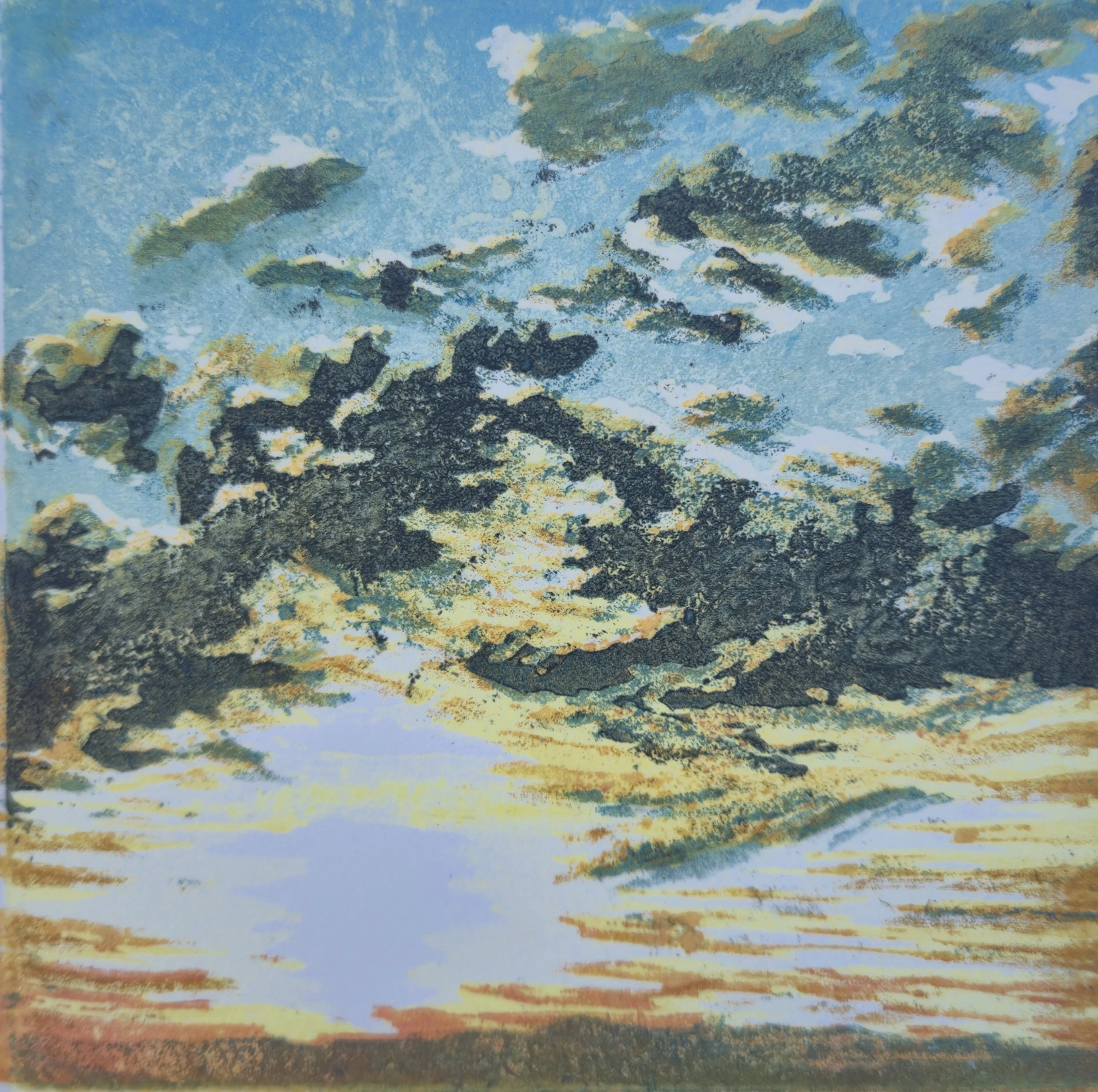   In The Glow Of Dusk  
 
Reduction Woodcut edition of 10
 
15cm h x 15cm w
 
(6 x 6 inhes)
 
NZ$250