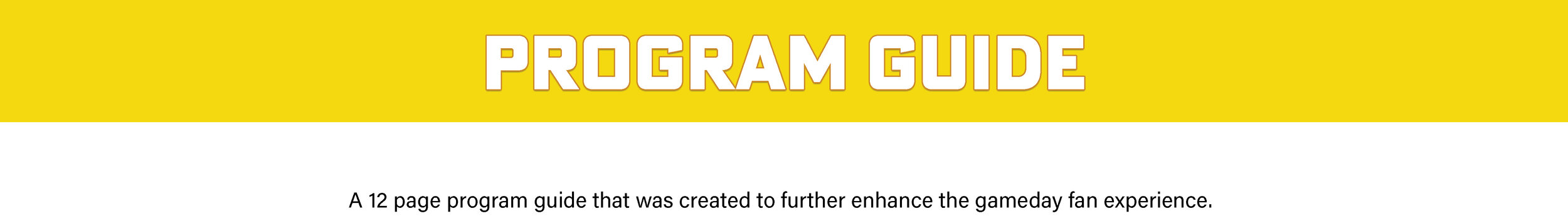 BANNER-PROGRAM-GUIDE(with-text)(new).jpg