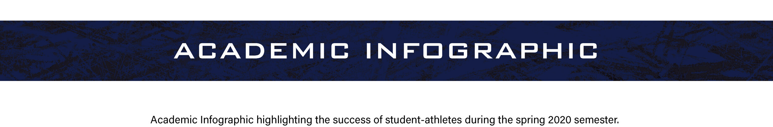 BANNER-ACADEMIC-INFOGRAPHIC-(WITH-TEXT)(new).jpg