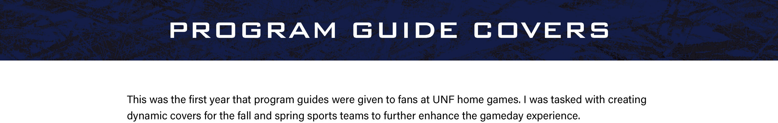 BANNER-PROGRAM-GUIDE(with-text)(new).jpg