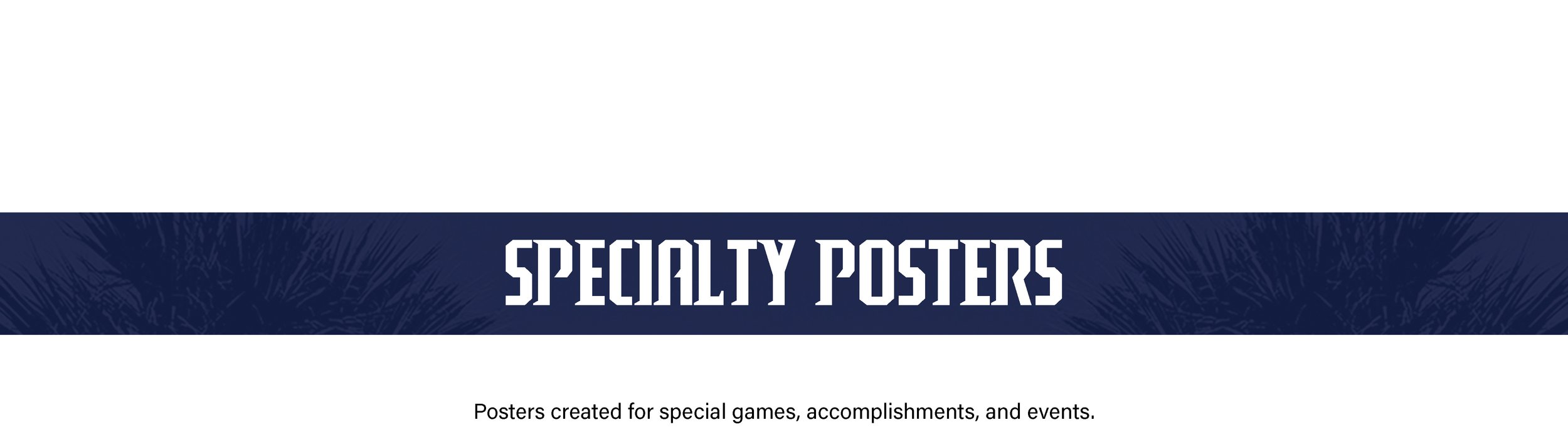 BANNER-SPECIALITY-POSTERS-(WITH-TEXT).jpg