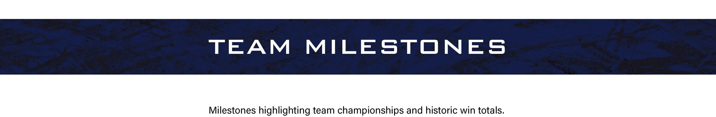 BANNER-Team-Milestones-(WITH-TEXT)(new).jpg