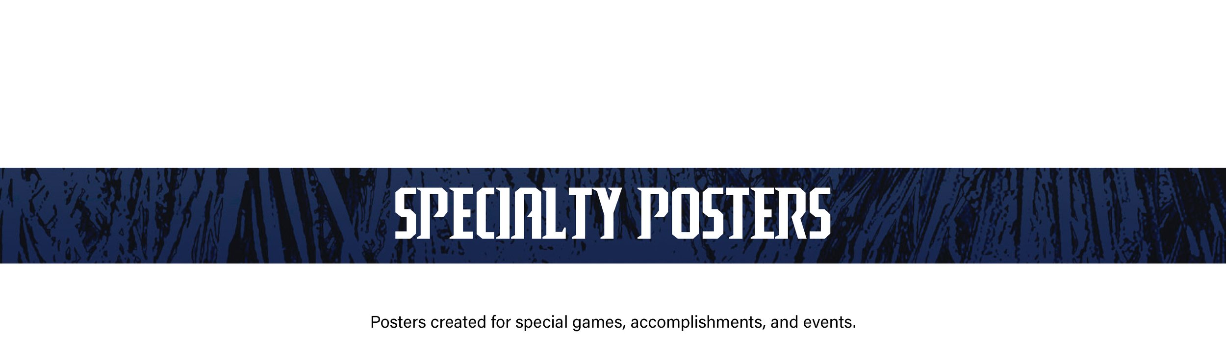 BANNER-SPECIALITY-POSTERS-(WITH-TEXT).jpg