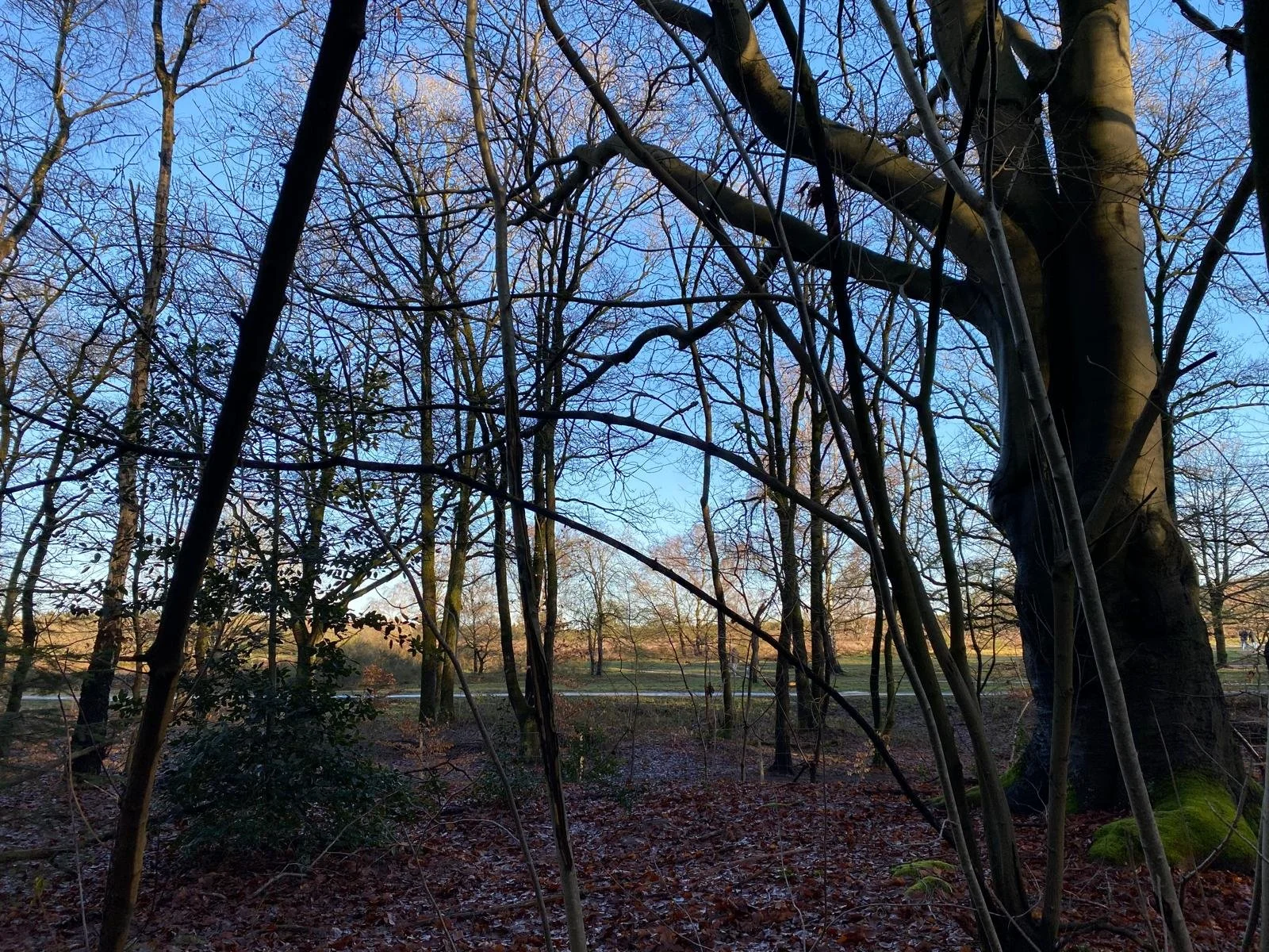 Wat is er allemaal geregeld? 