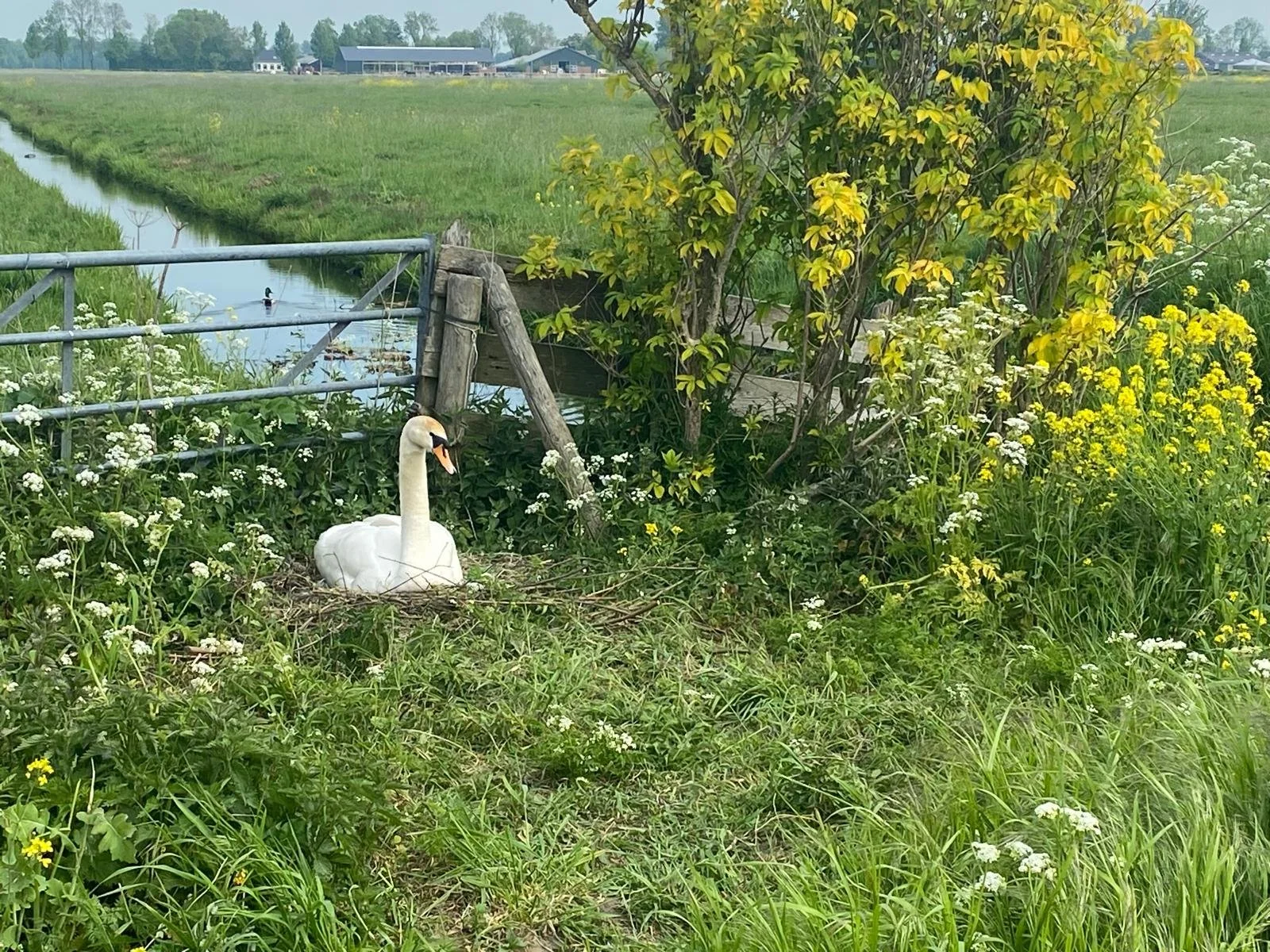 Hoe zichtbaar is de vertrouwenspersoon?