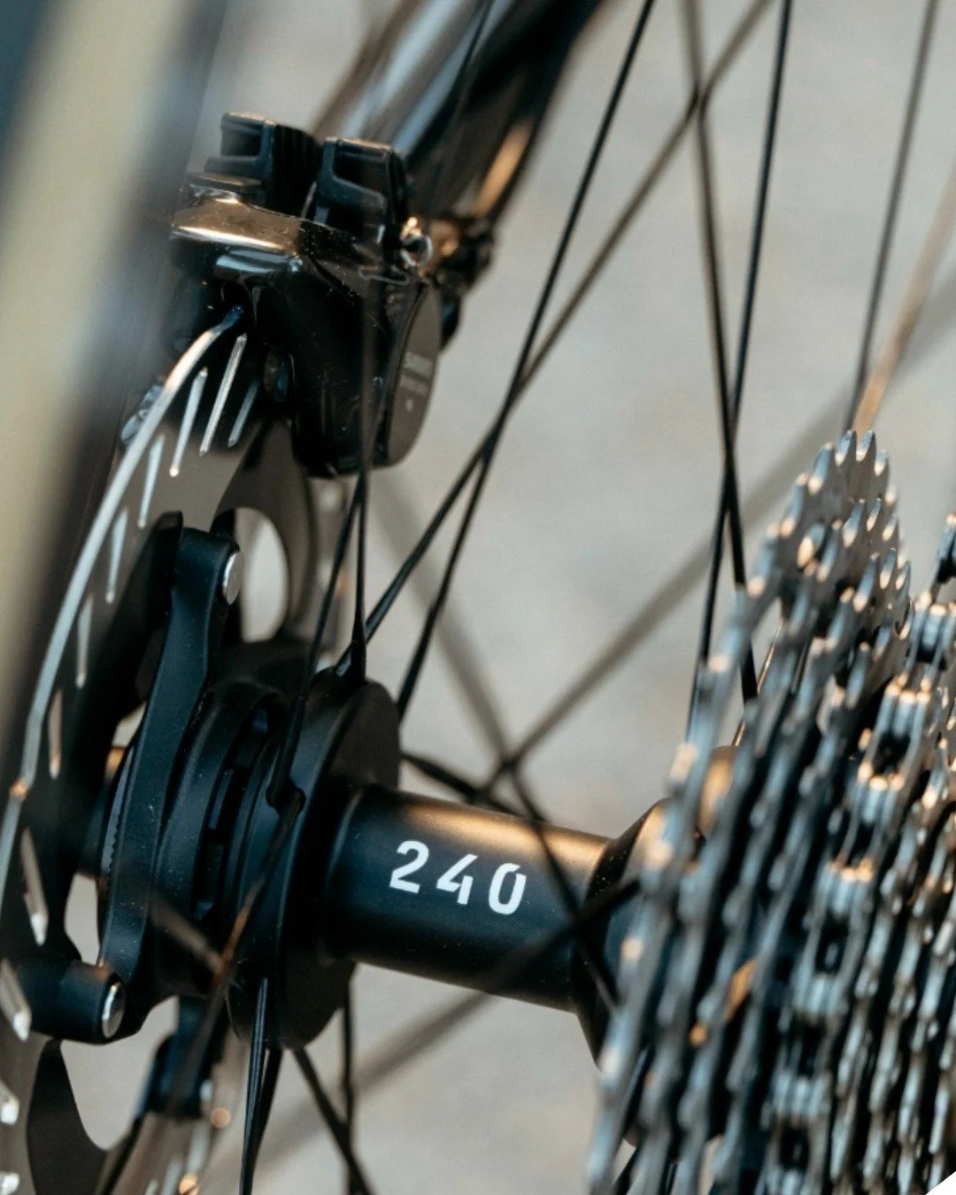 Ein Fahrrad ist nur so gut wie der Service dahinter. In unserer eigenen Werkstatt k&uuml;mmern wir uns mit Pr&auml;zision und Herzblut um deine Jahresinspektion.

Vereinbare jetzt deinen Inspektionstermin! 📞 0651 86181