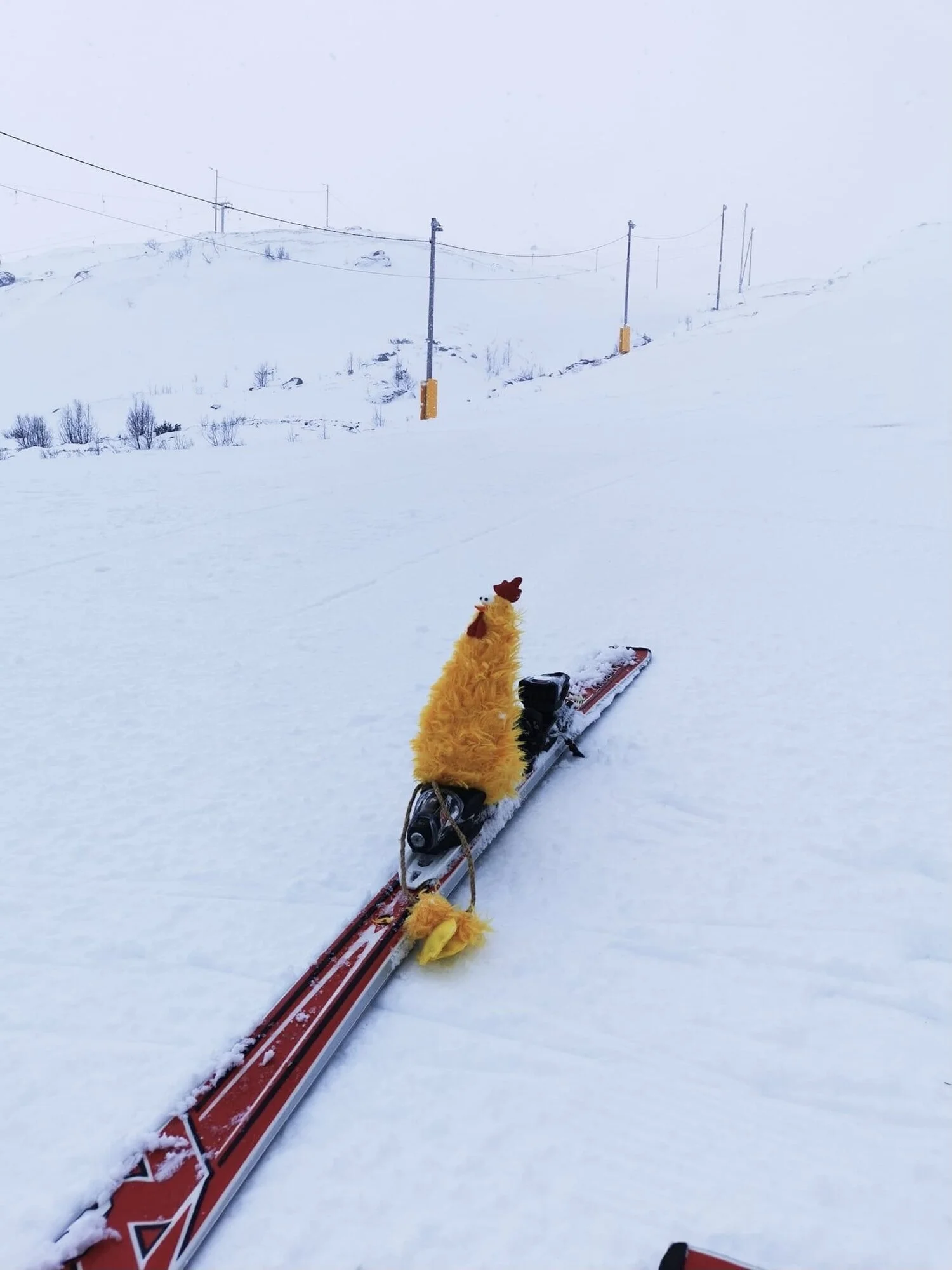 Burgerdag i Jølster Skisenter torsdag 1. april