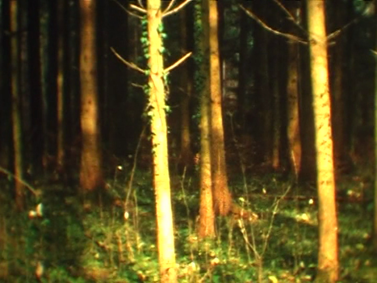 vlcsnap-2012-12-03-21h23m16s242.png