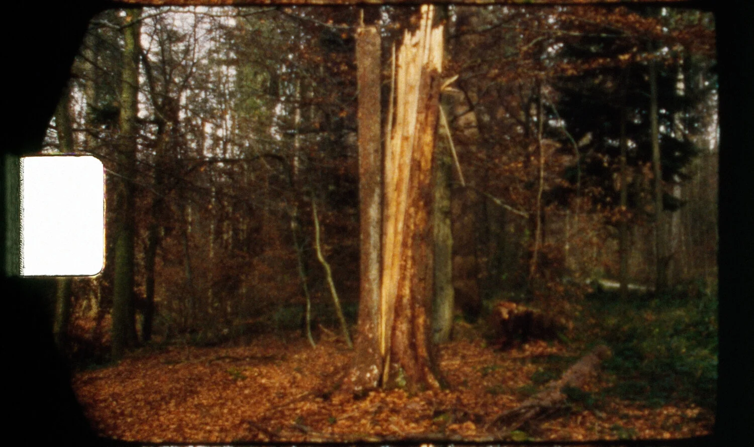 Immagini 006.jpg