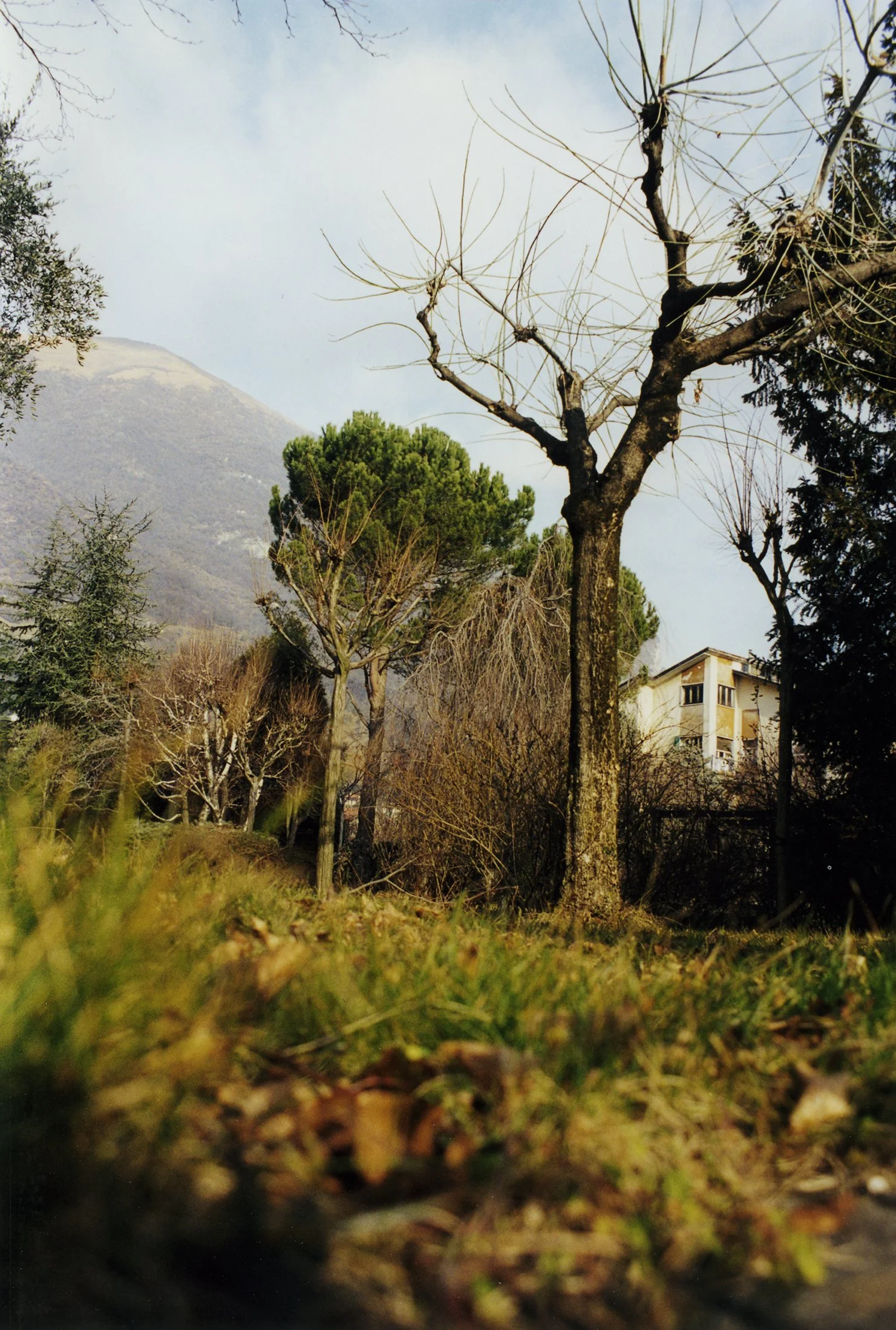 img505a.jpg