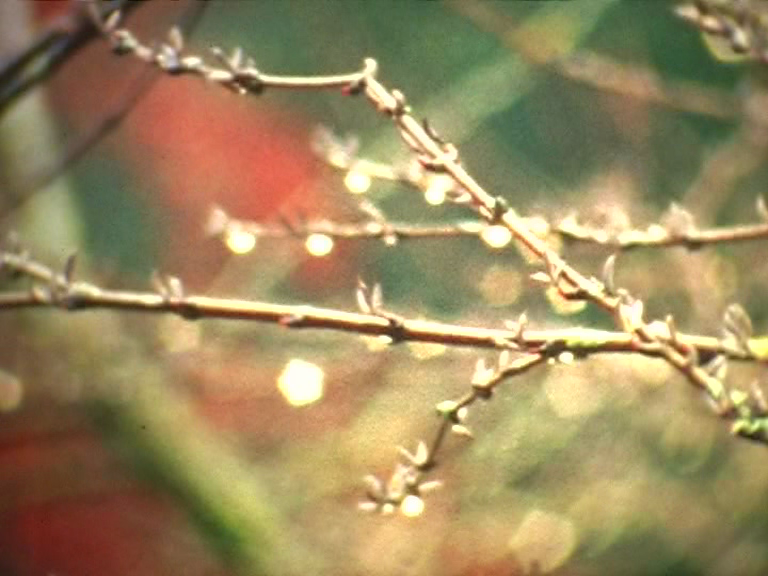vlcsnap-2012-12-03-21h23m53s74.png