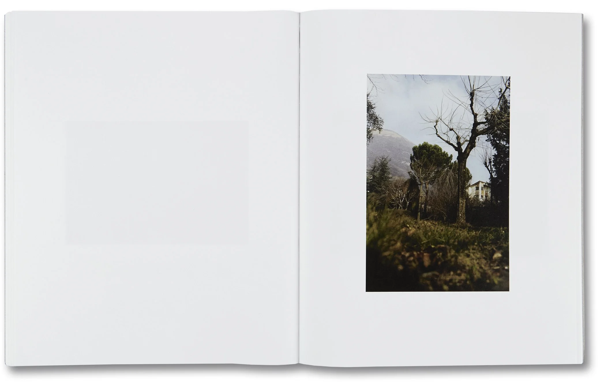 LITH Book - 14.jpg