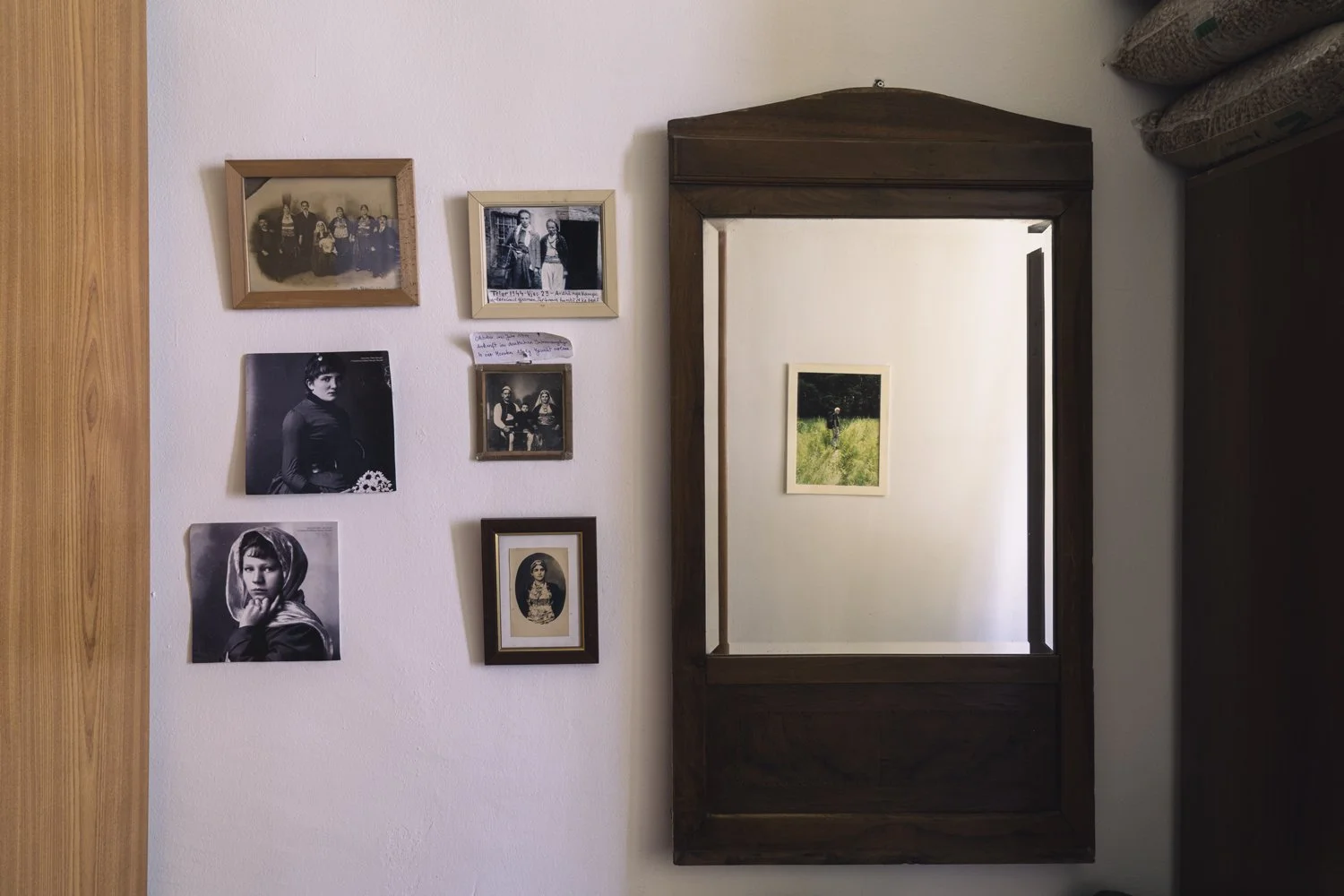 Alma Bazhdari .jpg
