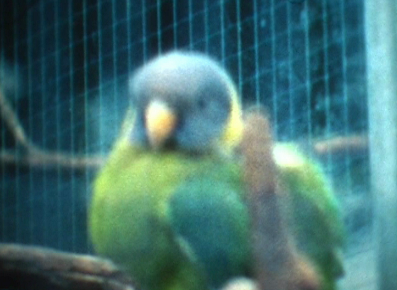 vlcsnap-2012-12-03-21h25m35s90.png