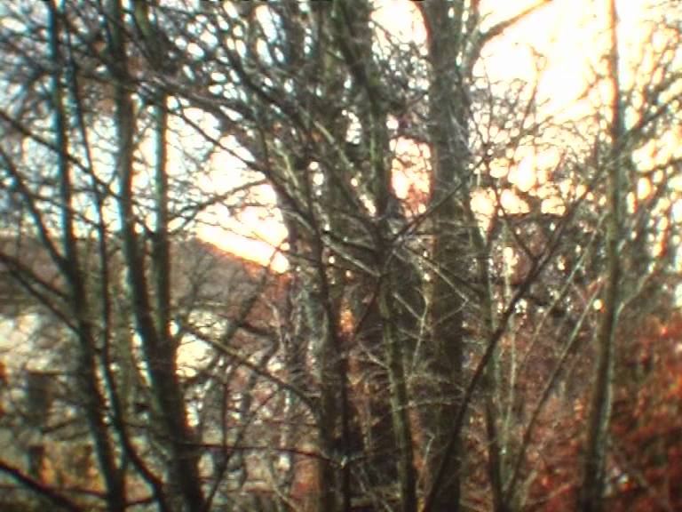 vlcsnap-2012-12-03-21h22m28s2.png