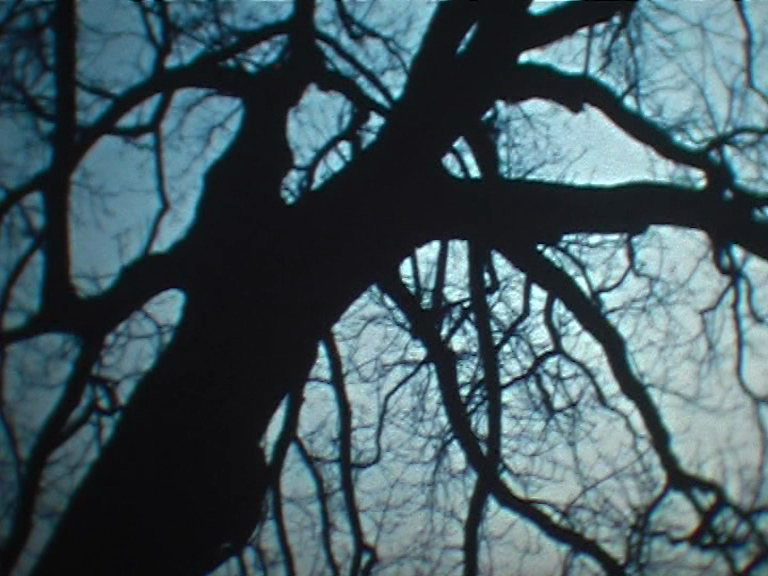 vlcsnap-2012-12-03-21h20m43s236.png