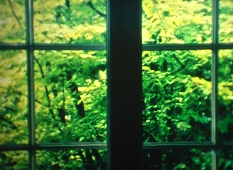 vlcsnap-2012-12-03-21h22m41s132.png