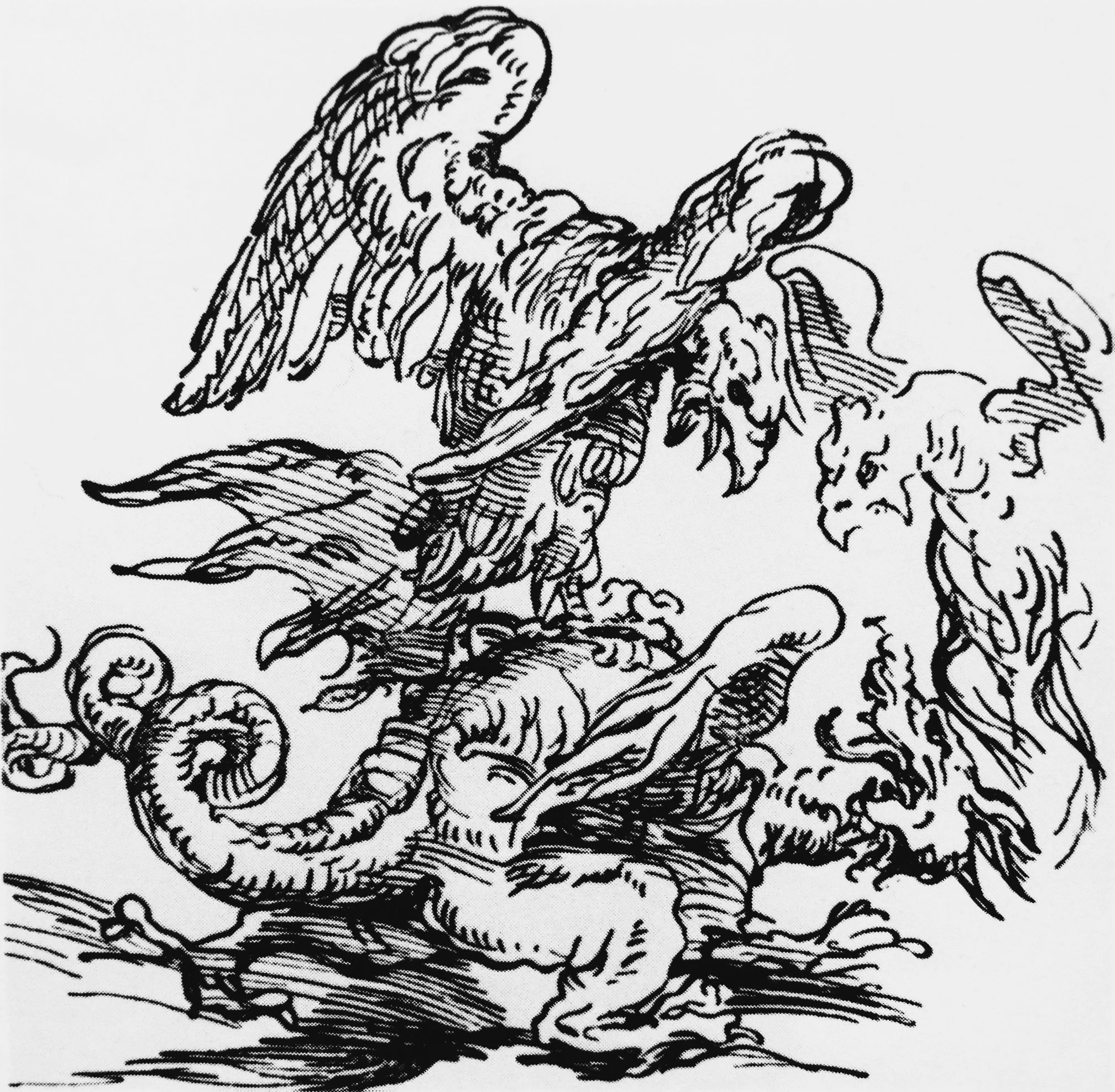 DSCF2081.jpg