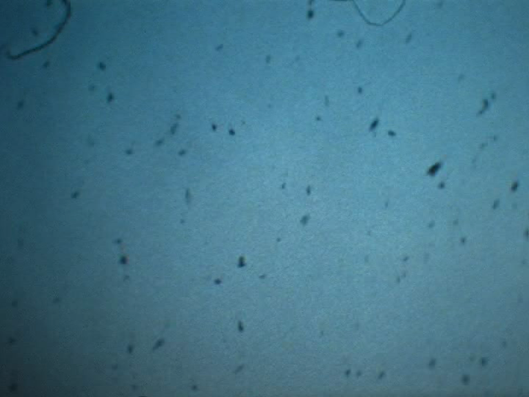 vlcsnap-2012-12-03-21h22m58s47.png